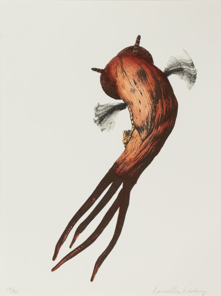 A lithograph of an orange sea creature on a white background.
