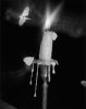 A black-and-white photograph of a melting candle with moths fluttering around its flame against a dark background.