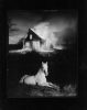 A white horse lies in the foreground while a house burns intensely in the background at night.