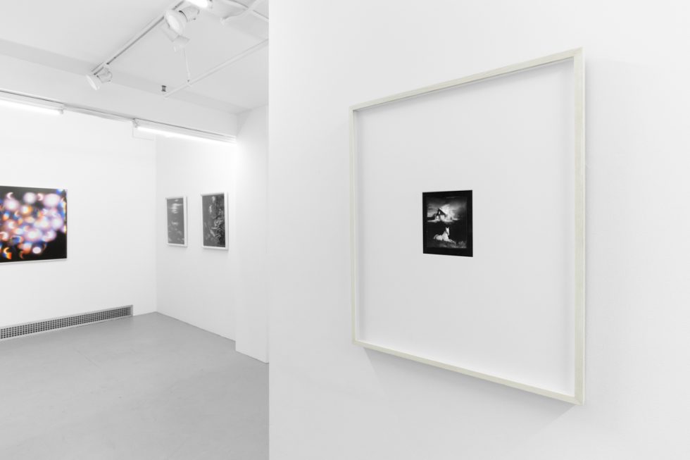 An installation view in a bright, white-walled contemporary art gallery.