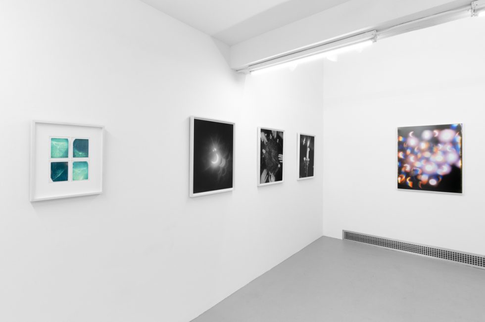 An installation view in a bright, white-walled contemporary art gallery.