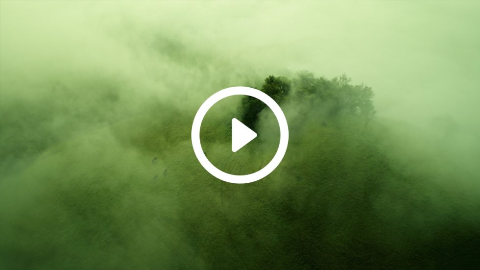 A misty green hillside is partially veiled by thick fog, with trees emerging from the haze.