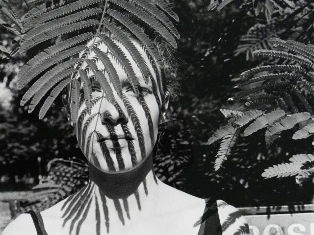 A black-and-white photograph of a woman standing outdoors, partially obscured by fern leaves casting striped shadows across her face and body. A sign with partially visible text appears blurred in the background among foliage.