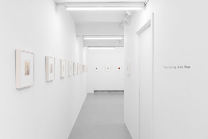 Small color photographs displayed on stark white gallery walls.