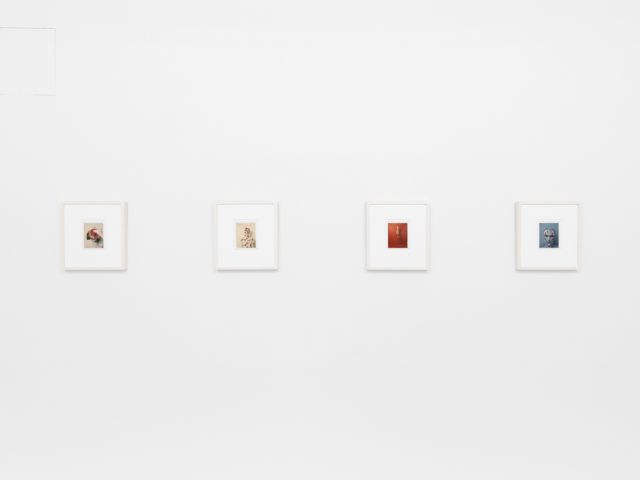 Small color photographs displayed on stark white gallery walls.