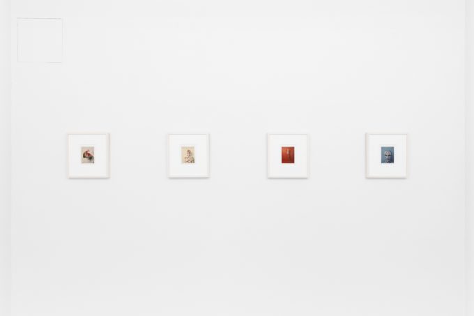 Small color photographs displayed on stark white gallery walls.