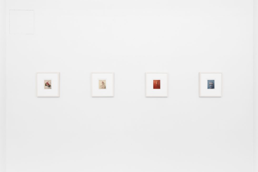 Small color photographs displayed on stark white gallery walls.