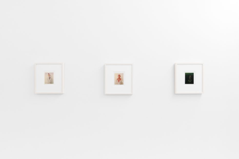 Small color photographs displayed on stark white gallery walls.