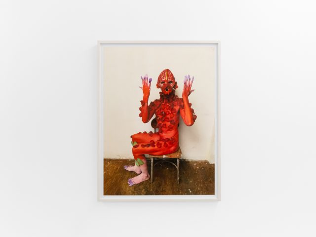 Small color photographs displayed on stark white gallery walls.