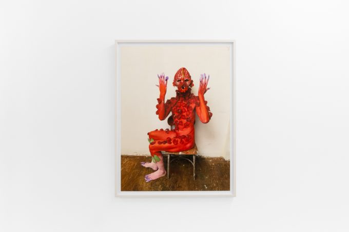 Small color photographs displayed on stark white gallery walls.