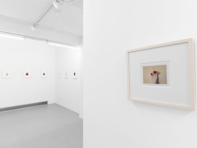 Small color photographs displayed on stark white gallery walls.
