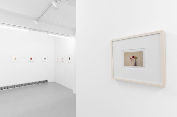 Small color photographs displayed on stark white gallery walls.