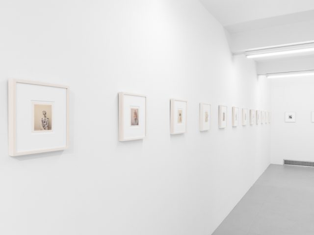 Small color photographs displayed on stark white gallery walls.