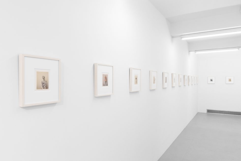 Small color photographs displayed on stark white gallery walls.