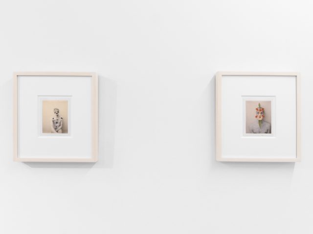 Small color photographs displayed on stark white gallery walls.