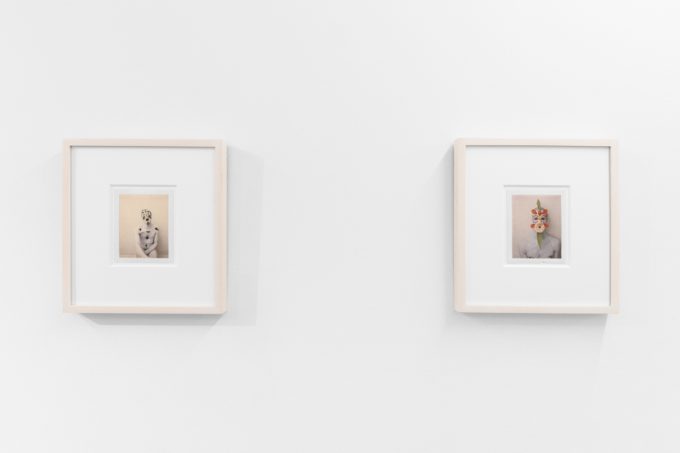 Small color photographs displayed on stark white gallery walls.