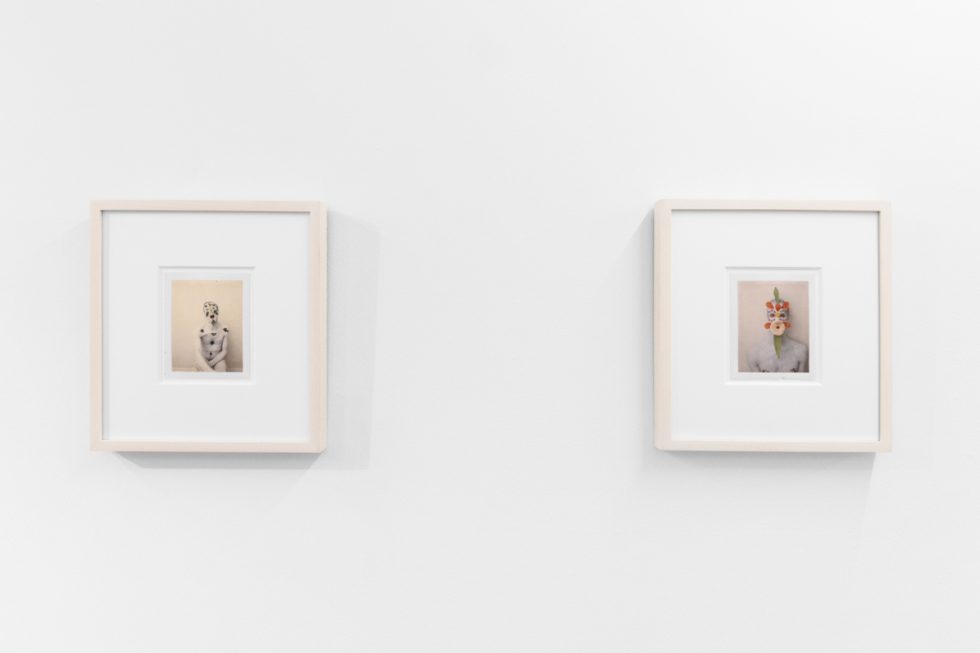 Small color photographs displayed on stark white gallery walls.