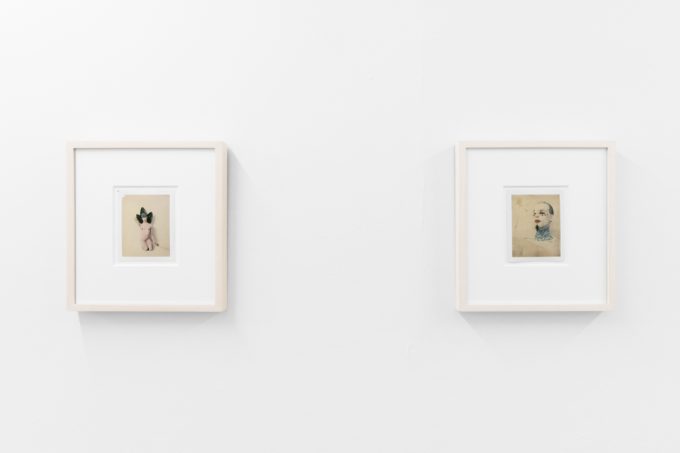 Small color photographs displayed on stark white gallery walls.
