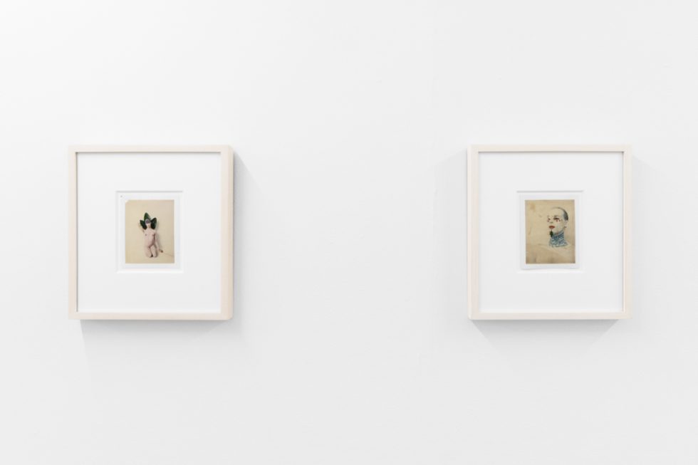 Small color photographs displayed on stark white gallery walls.