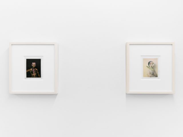 Small color photographs displayed on stark white gallery walls.