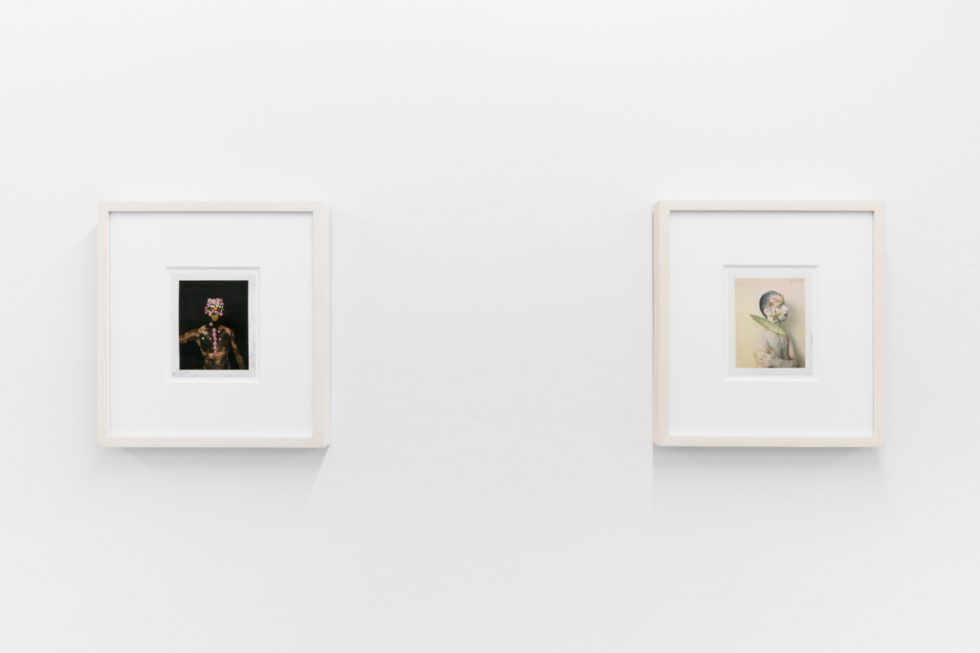 Small color photographs displayed on stark white gallery walls.