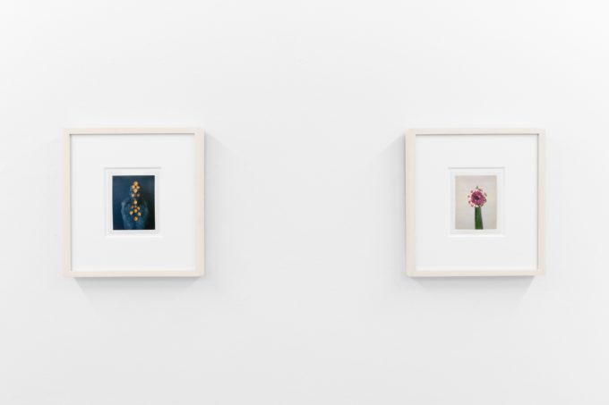 Small color photographs displayed on stark white gallery walls.