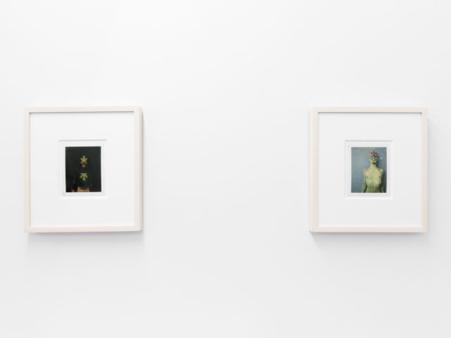 Small color photographs displayed on stark white gallery walls.