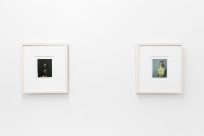 Small color photographs displayed on stark white gallery walls.