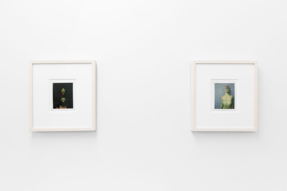 Small color photographs displayed on stark white gallery walls.