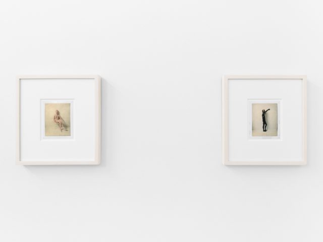 Small color photographs displayed on stark white gallery walls.