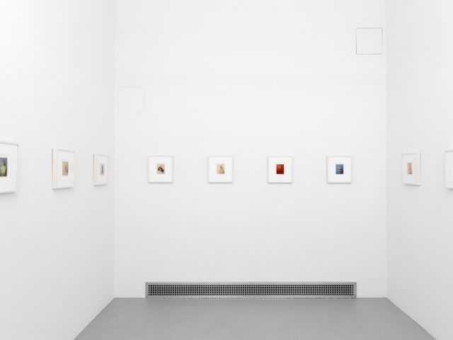 Small color photographs displayed on stark white gallery walls.