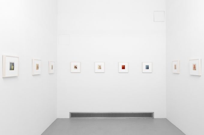 Small color photographs displayed on stark white gallery walls.
