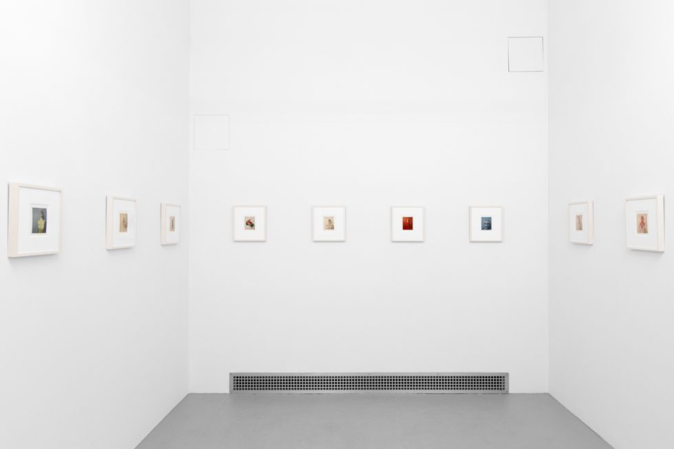 Small color photographs displayed on stark white gallery walls.