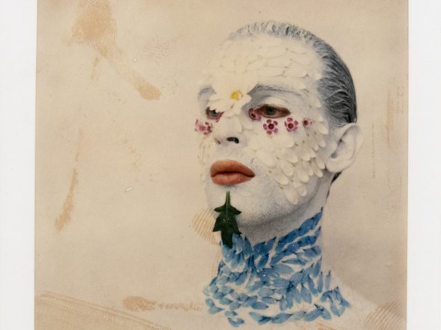 Person with white face paint and flower petals on face and neck poses against a neutral background.