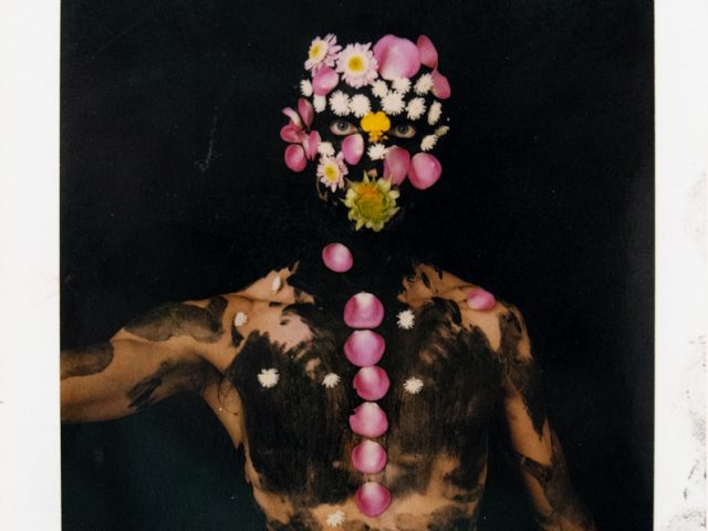 A shirtless person with dark body paint stands against a black background, their face and spine adorned with pink petals and small white flowers.
