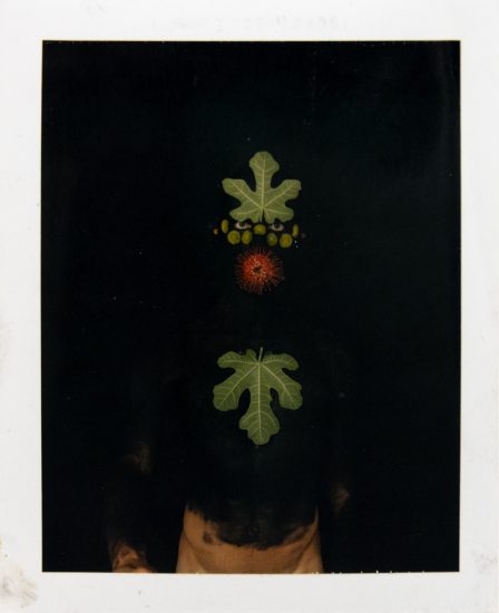 Two green fig leaves and a spiky red fruit are vertically arranged on a stark black background. Small yellow elements are interspersed between the top leaf and the fruit. Below the fruit, a second fig leaf points downwards. The bottom edge of the image shows a blurred, lighter area, possibly indicating a surface or reflection.