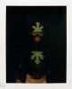 Two green fig leaves and a spiky red fruit are vertically arranged on a stark black background. Small yellow elements are interspersed between the top leaf and the fruit. Below the fruit, a second fig leaf points downwards. The bottom edge of the image shows a blurred, lighter area, possibly indicating a surface or reflection.