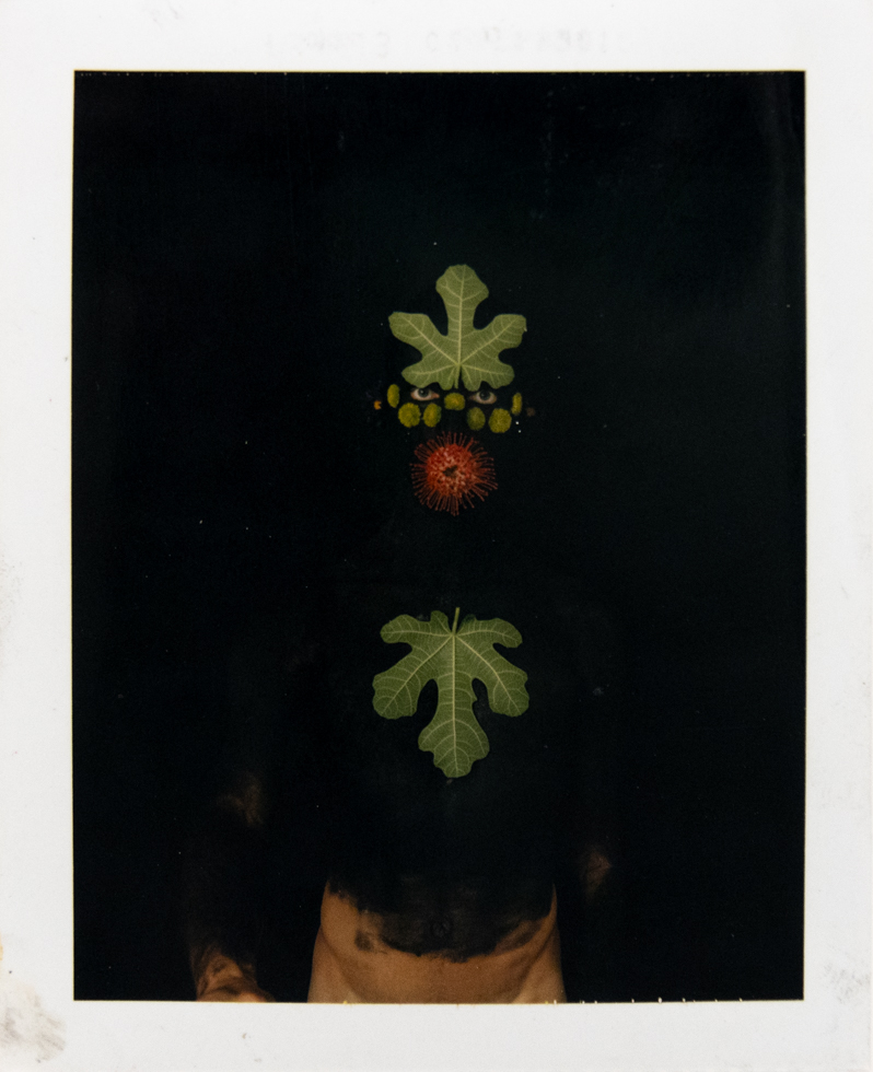 Two green fig leaves and a spiky red fruit are vertically arranged on a stark black background. Small yellow elements are interspersed between the top leaf and the fruit. Below the fruit, a second fig leaf points downwards. The bottom edge of the image shows a blurred, lighter area, possibly indicating a surface or reflection.