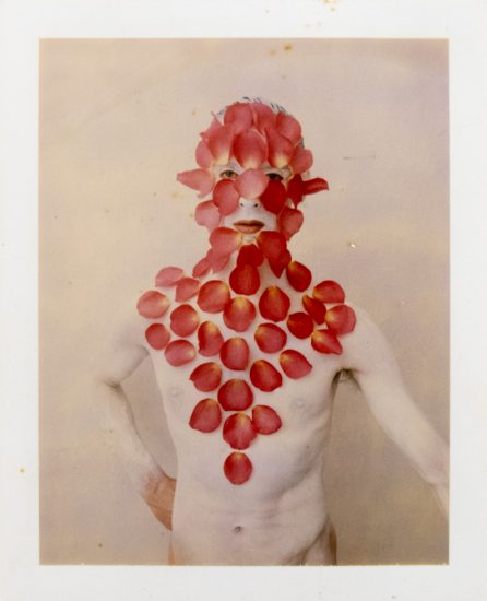 Pale figure against light background, face and chest veiled by pink and red petals in an organic mask, eyes and mouth visible.