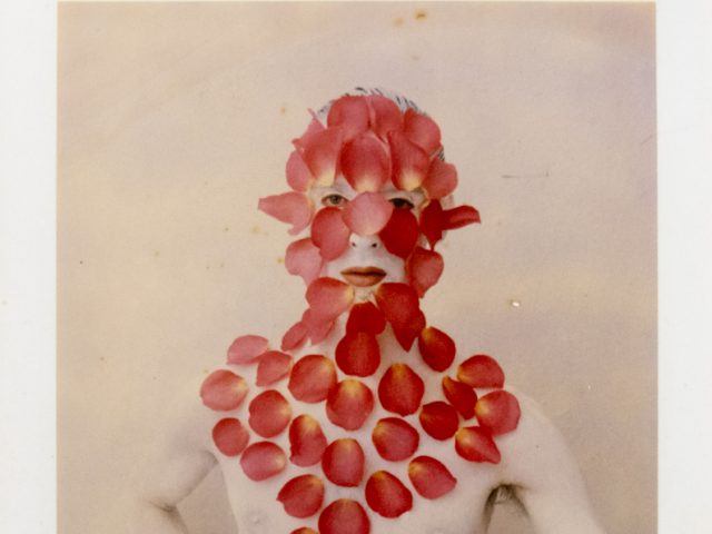 Pale figure against light background, face and chest veiled by pink and red petals in an organic mask, eyes and mouth visible.