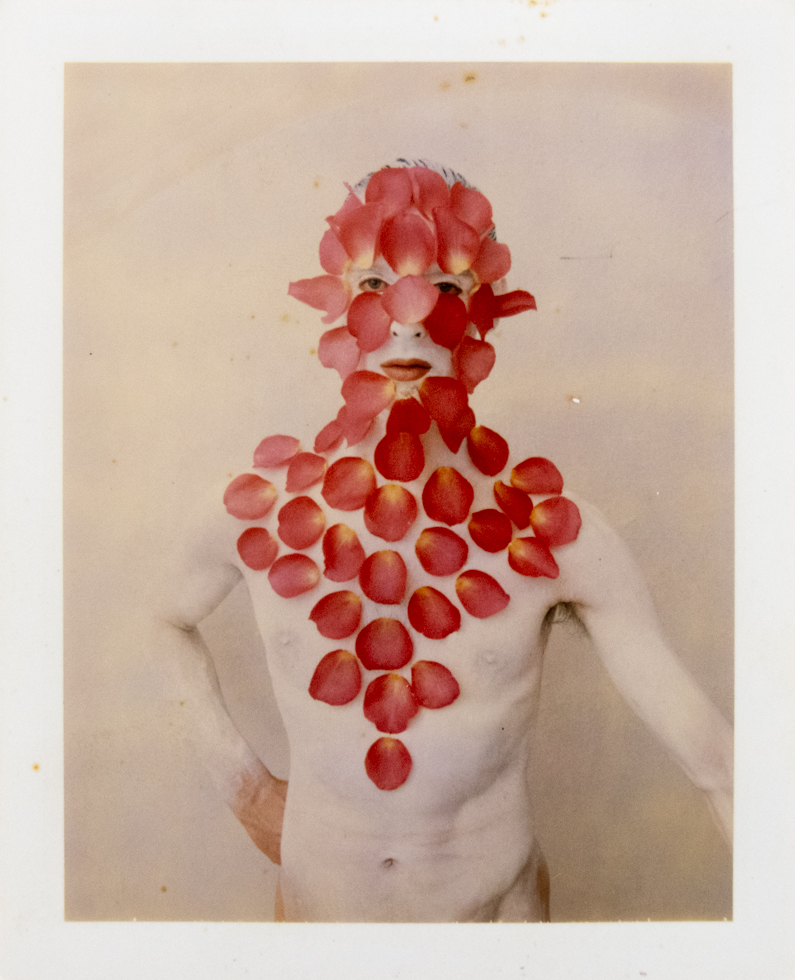 Pale figure against light background, face and chest veiled by pink and red petals in an organic mask, eyes and mouth visible.