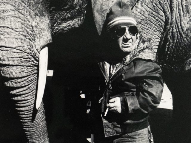 A black and white photograph captures a person in a hat and sunglasses standing next to an elephant's head. The person holds a cigarette and a stick, looking upwards and to the right.