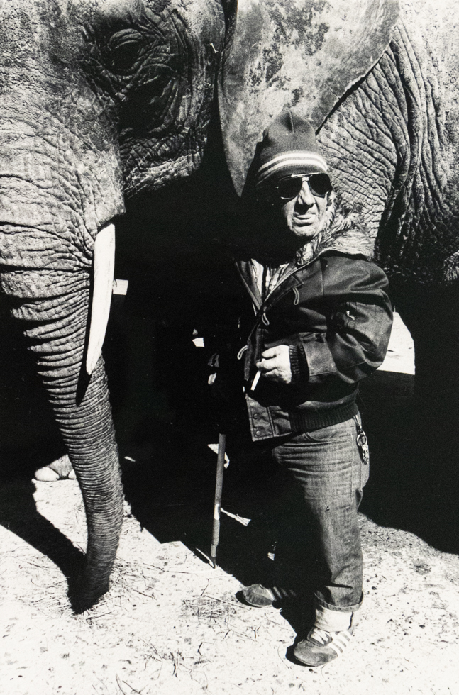 A black and white photograph captures a person in a hat and sunglasses standing next to an elephant's head. The person holds a cigarette and a stick, looking upwards and to the right.