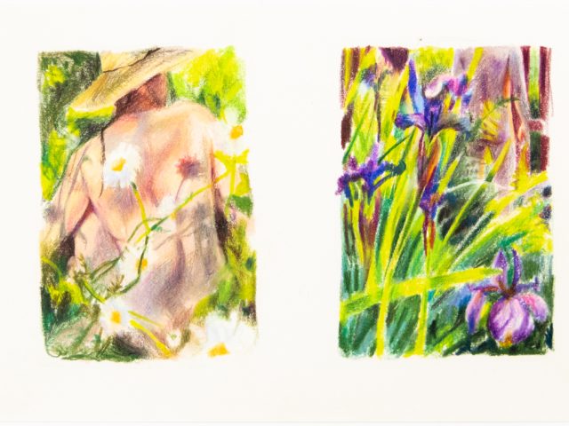 Two colored pencil drawings depicting a figure in a garden and some flowers.