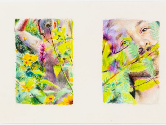 Two colored pencil drawings of a figure from behind in a garden and a close up of a man's face.