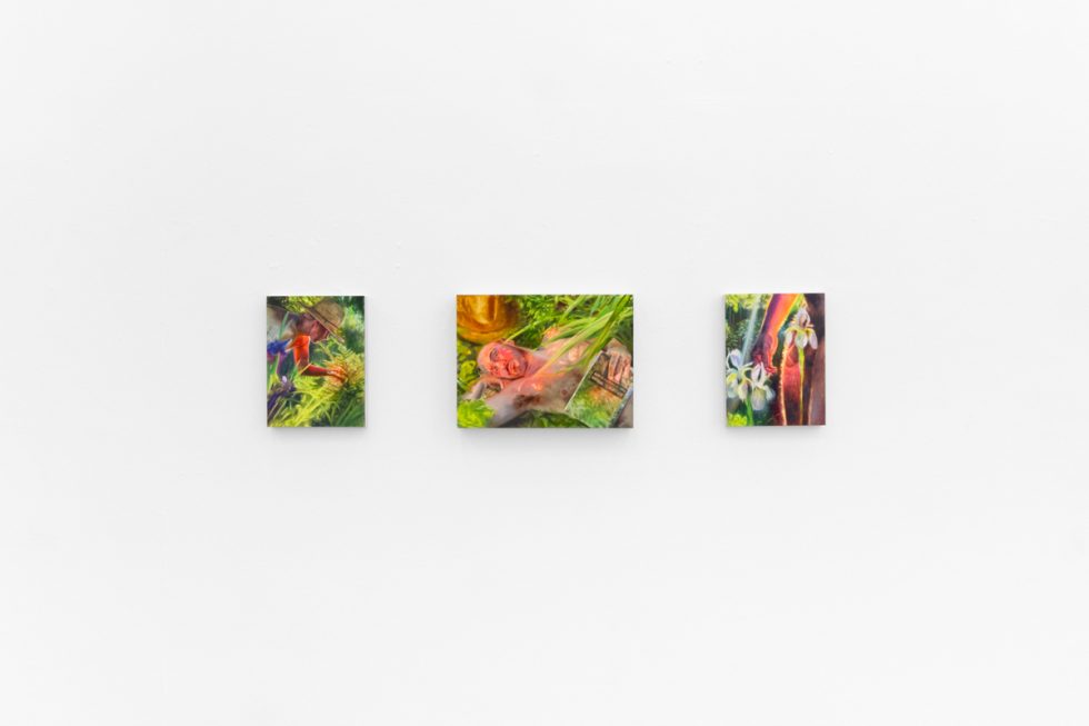 Three colorful paintings depict figures and flowers in lush, dreamlike environments with saturated greens, yellows, and reds on a white wall.