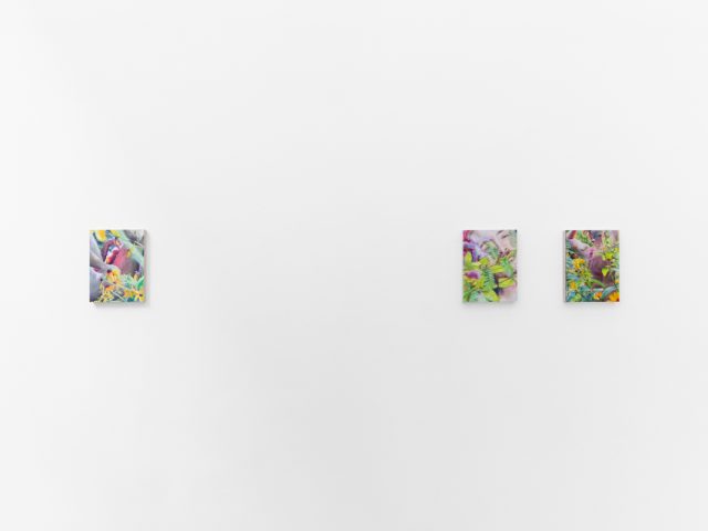 Colorful artworks on a bright white gallery wall in neutral lighting.