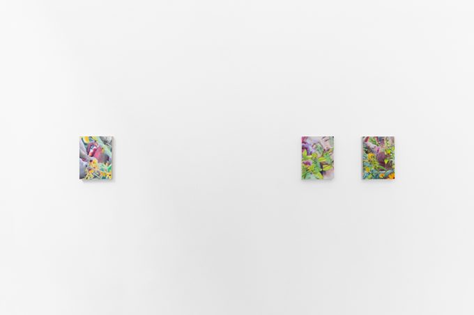 Colorful artworks on a bright white gallery wall in neutral lighting.