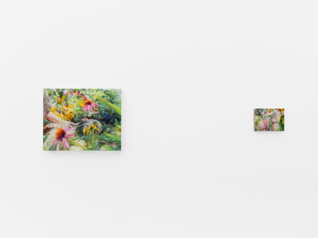 Colorful artworks on a bright white gallery wall in neutral lighting.