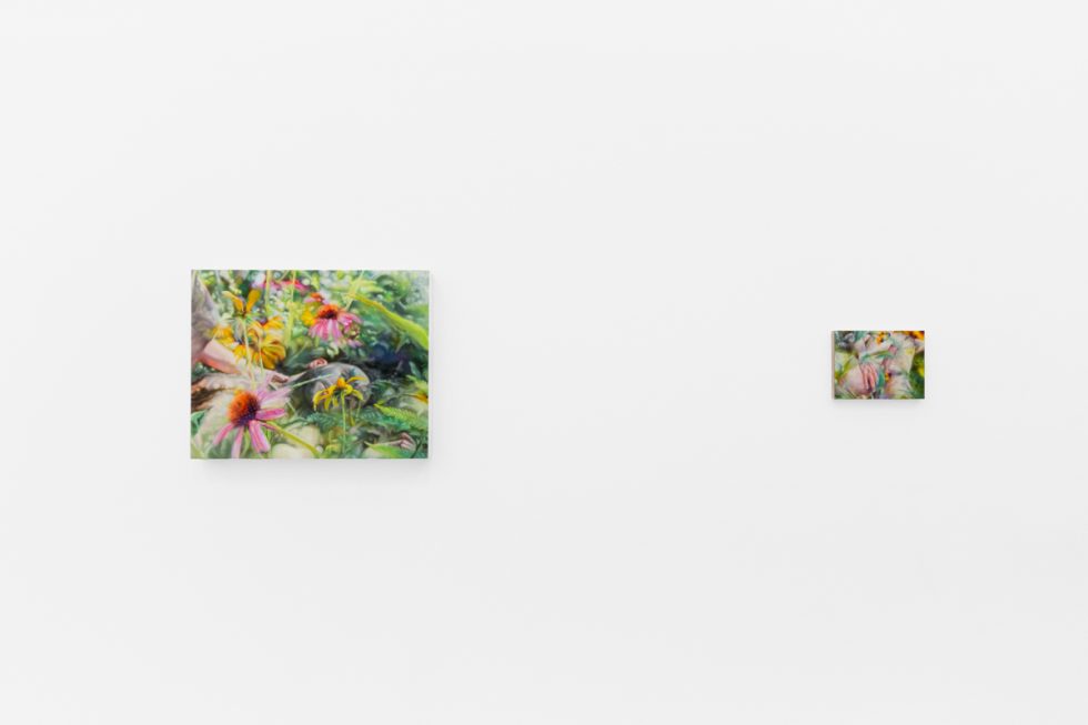 Colorful artworks on a bright white gallery wall in neutral lighting.